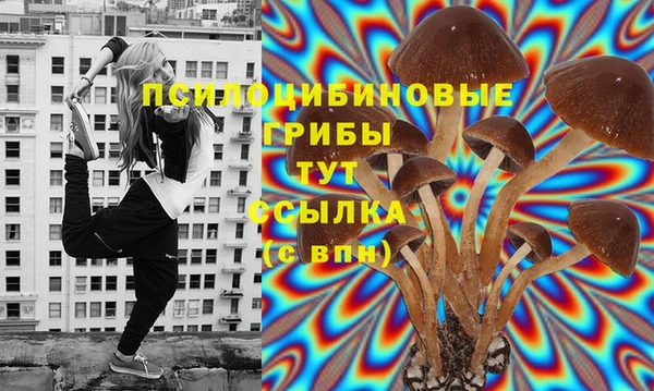 каннабис Алексеевка